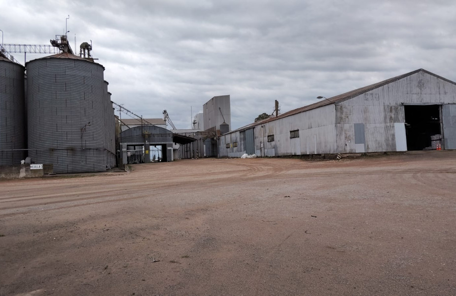 Copagran workers fired by WhatsApp