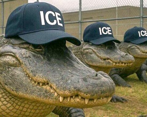 Court of Appeals stops dismantling of Alcatraz de los Caimanes