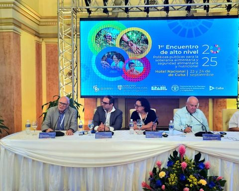 Cuba seeks relief to its food crisis in the new cooperation agenda with Brazil