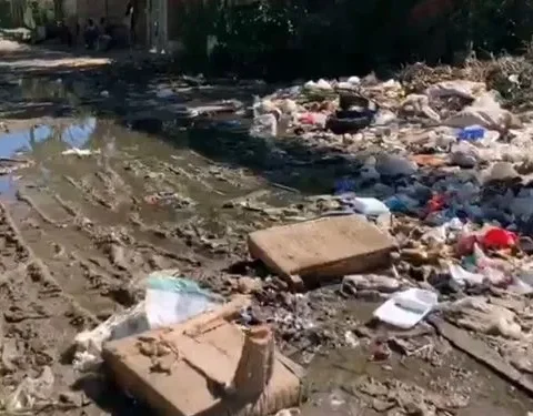 Cuba, dengue, MINSAP, crisis