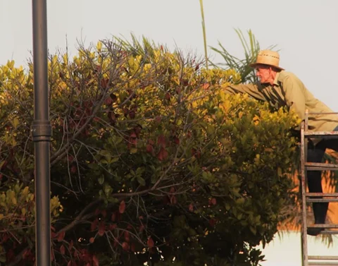 Cuba, trabajadores, accidentes laborales, seguridad laboral