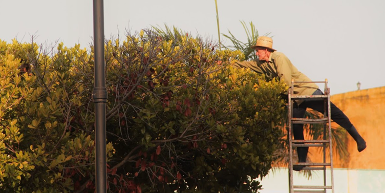 Cuba, trabajadores, accidentes laborales, seguridad laboral