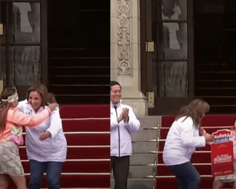 Dina Boluarte: woman faints after greeting the president during Ceremony Government Palace