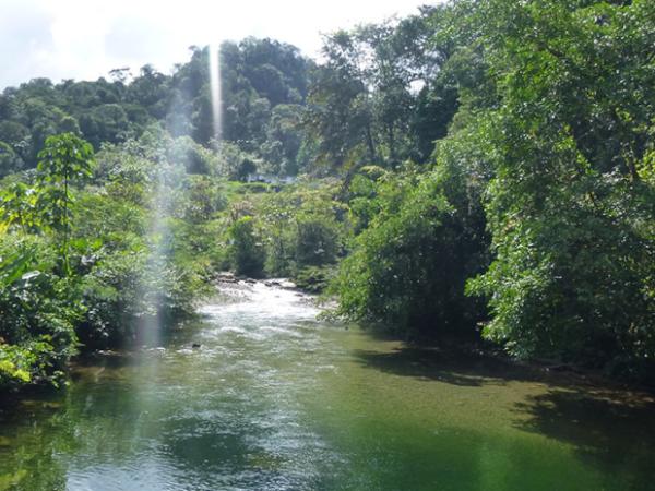 Does the city getaway? Natural paradise in Colombia does exist and is in Cali