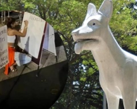 Dog Park Merchants protest Traffic operations in Cali