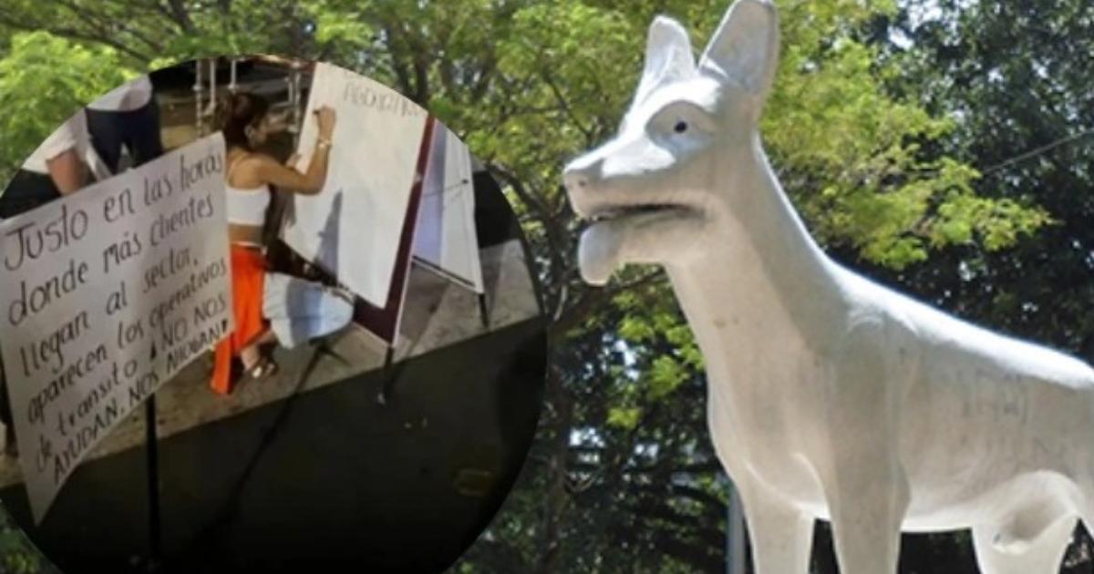 Dog Park Merchants protest Traffic operations in Cali