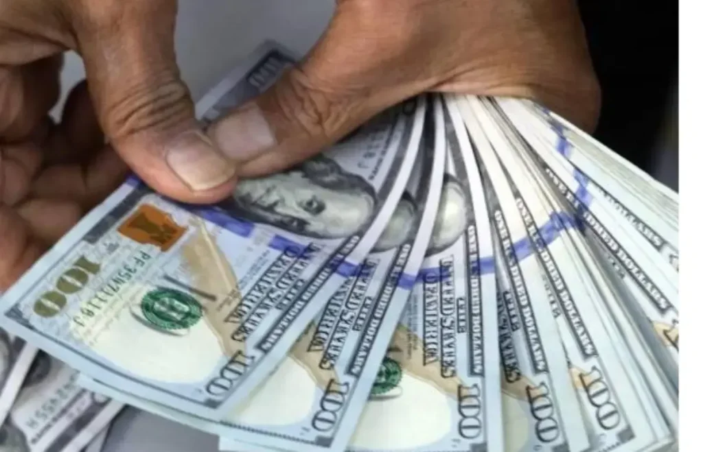   Dólar en República Dominicana: ¿Qué factores influyen en la variación de la tasa de cambio a lo largo del tiempo?  