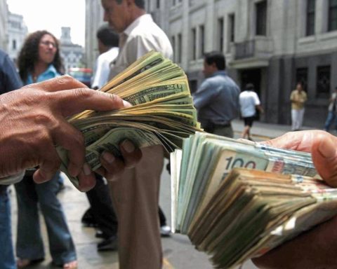 Dollar rises cautiously to local demand and fed signs