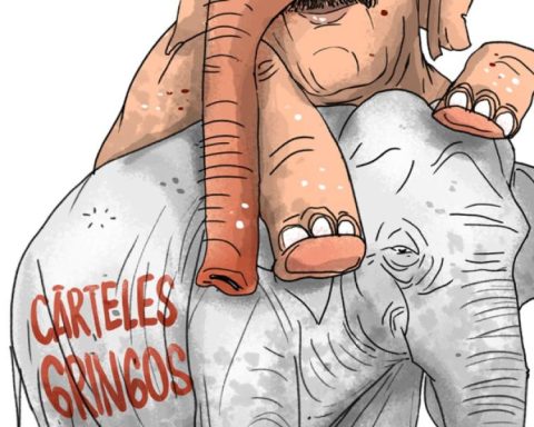 Elephants in the room