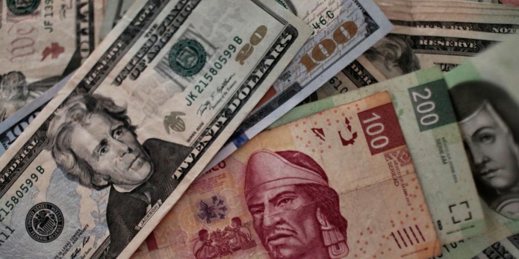 Enrachado weight, goes for its fifth appreciation session: How much is it?