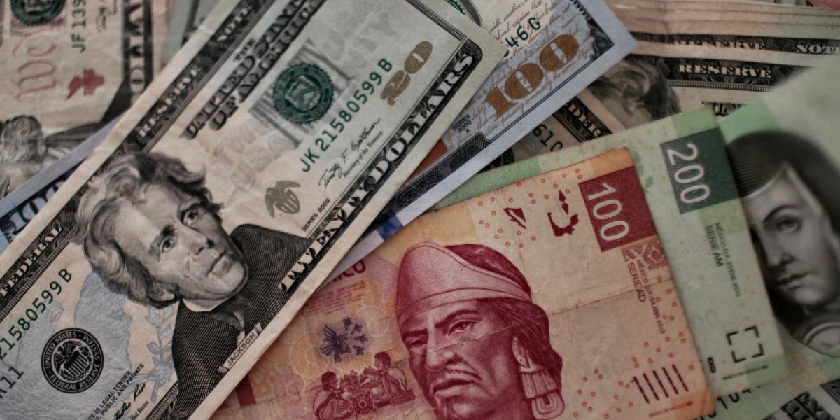 Enrachado weight, goes for its fifth appreciation session: How much is it?