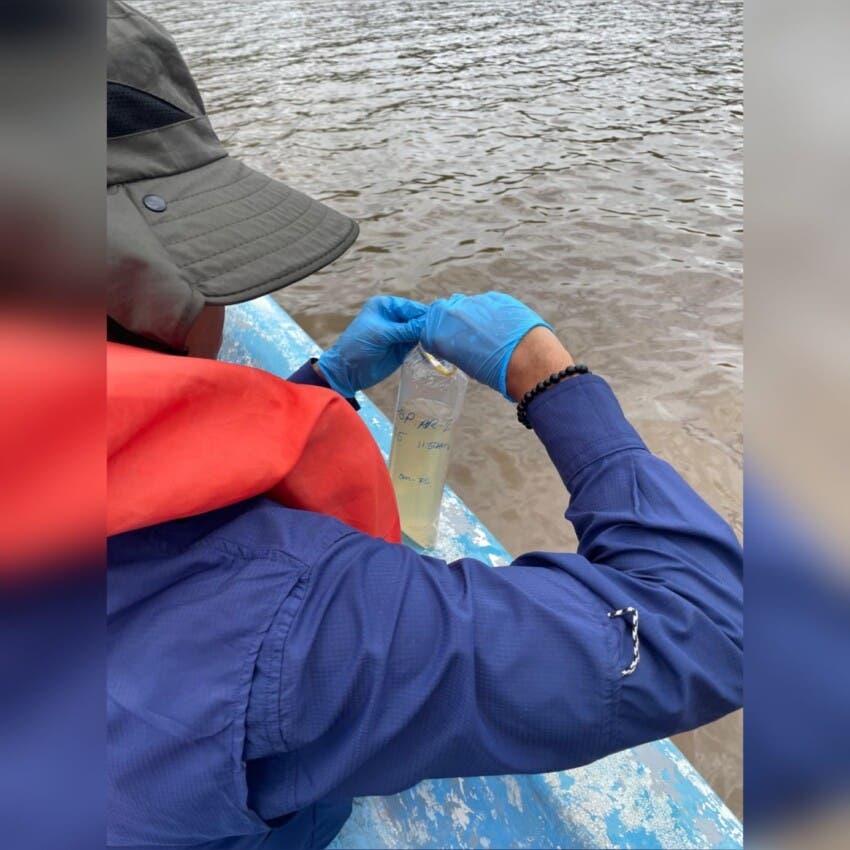 Medio Ambiente investiga muerte masiva de peces en el río Soco