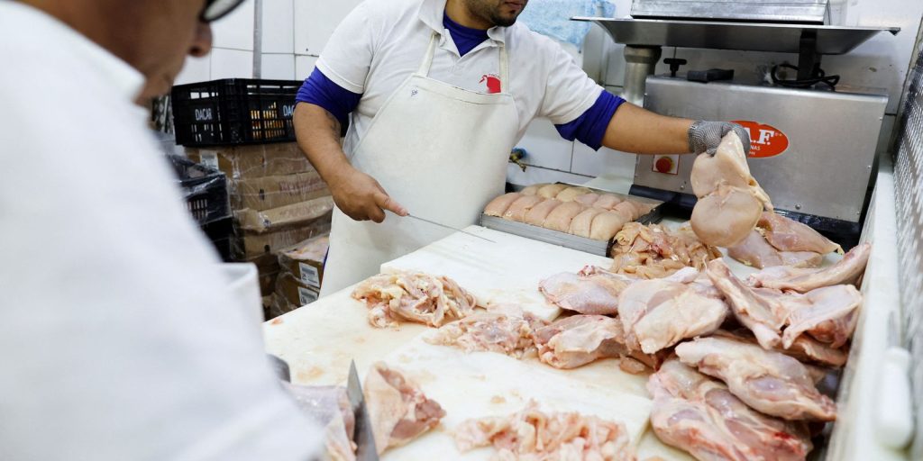 European Union recognizes Brazil as free of avian flu