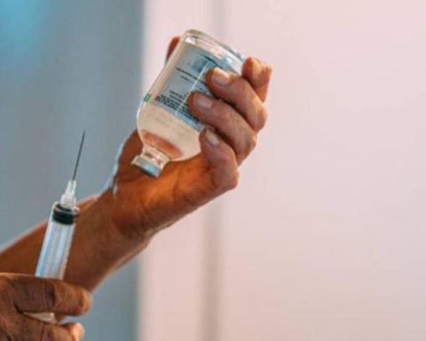 Euthanasias continue to increase in Colombia: a procedure is performed every 25 hours