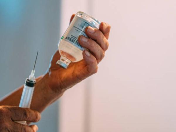 Euthanasias continue to increase in Colombia: a procedure is performed every 25 hours