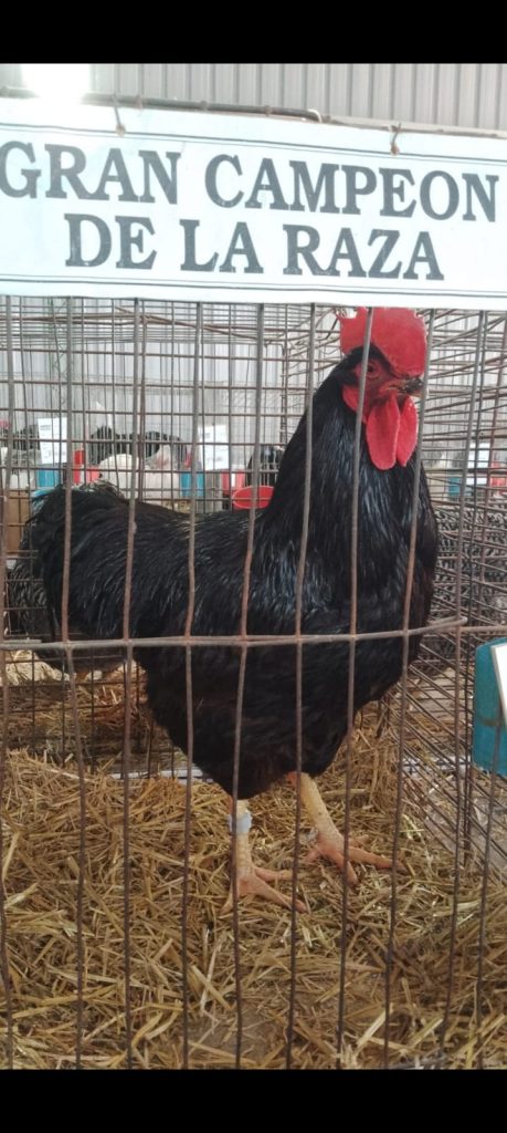 Exhibition and talks