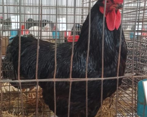 Exhibition and talks