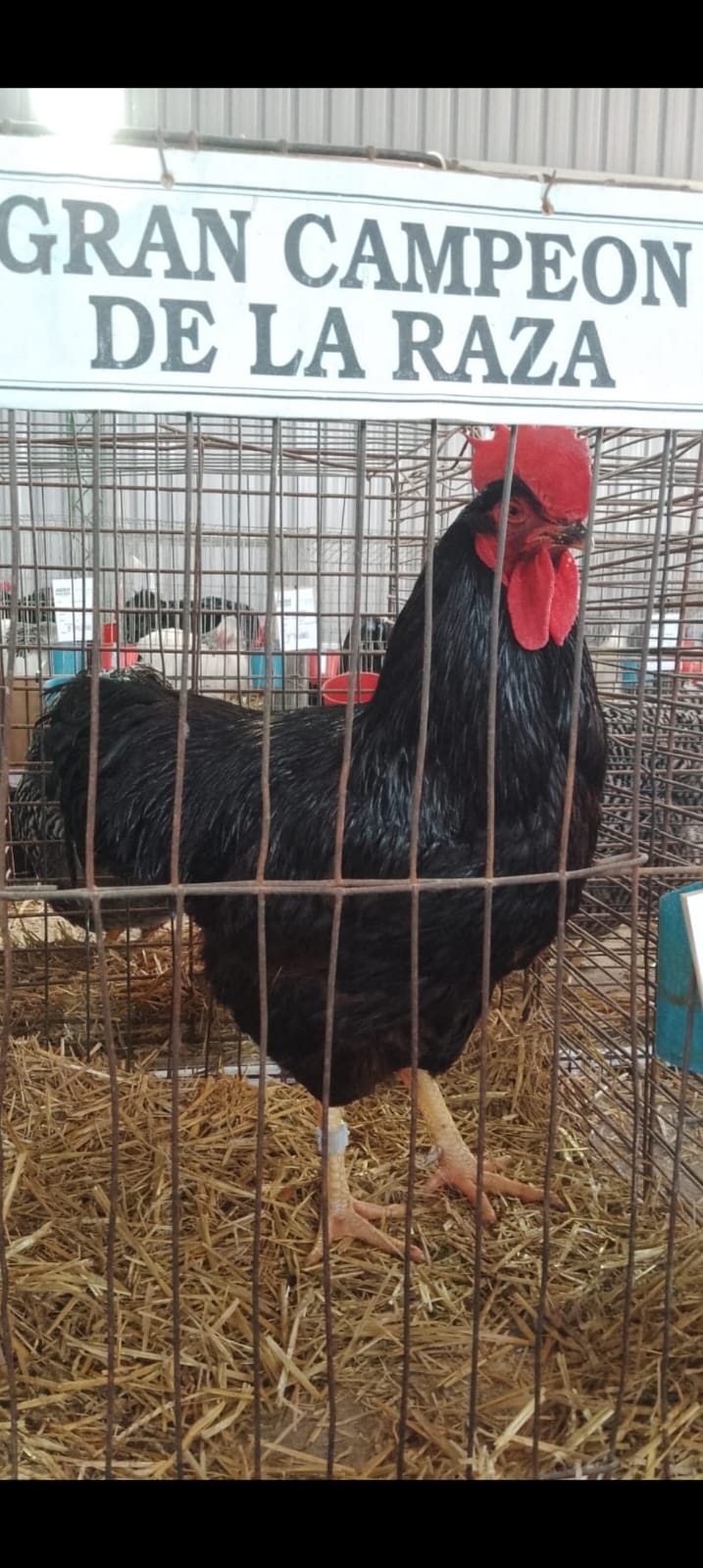 Exhibition and talks