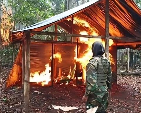 Fanb dismantled Ciudadela deln