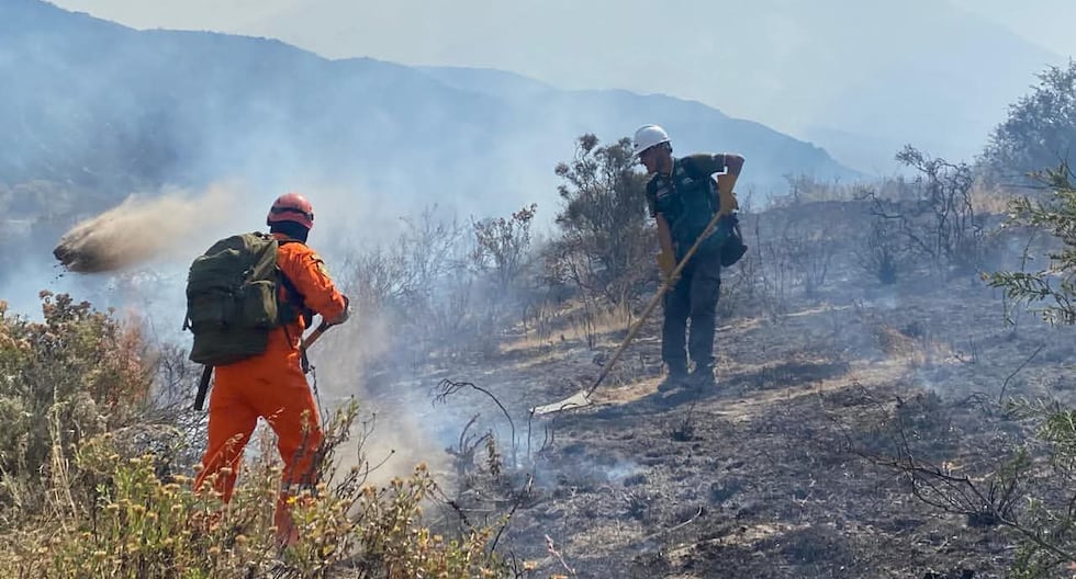 Fire in the Misti: Fuego swept habitat of more than 50 species of flora and fauna (photos)