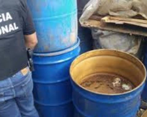 Fiscales y Ceccom incautan clerén y cigarrillos de contrabando en mercado de Santiago