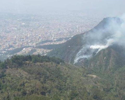 Follow the recovery of the cable hill, after fires in 2023