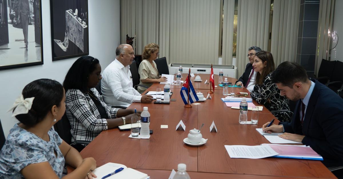 Foreign Ministeries of Cuba and Türkiye examine perspectives to strengthen their cooperation