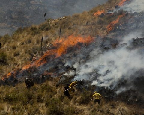 Forest fires: Government confirms ten active fires in the country