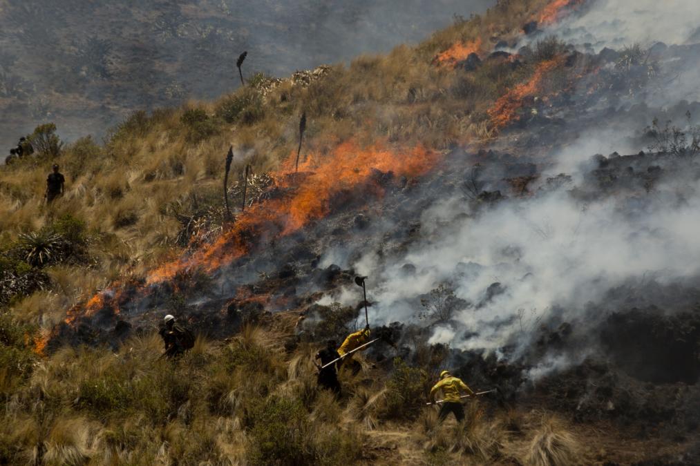 Forest fires: Government confirms ten active fires in the country