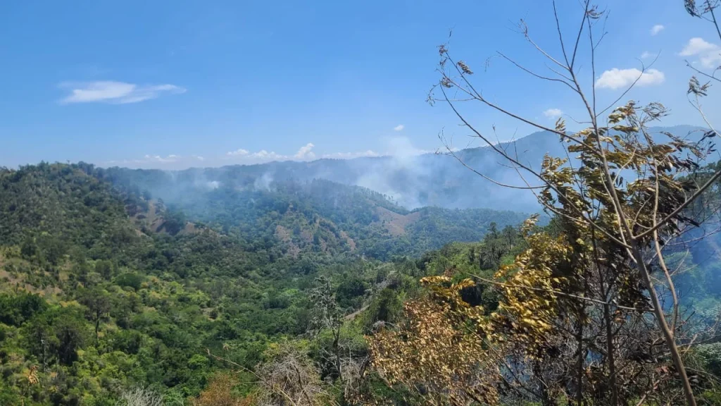 Forest fires are recorded in Janico and Barahona