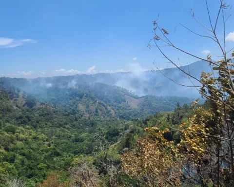 Forest fires are recorded in Janico and Barahona
