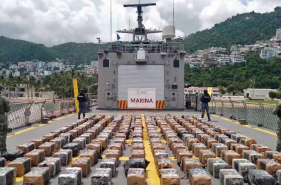 From the cultivation of coca to the European trafficker, who controls cocaine traffic?