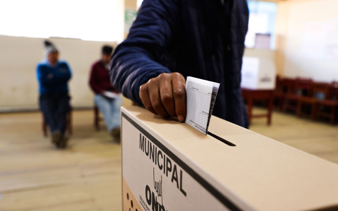 General Elections 2026: More than 10,000 candidates in a 44 centimeter card