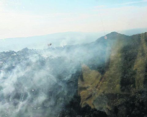 Government: Fire in Noel Kempff is caused in a malicious way