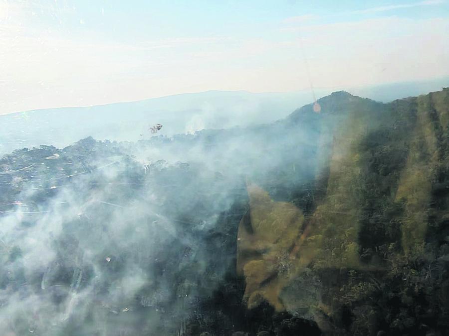 Government: Fire in Noel Kempff is caused in a malicious way