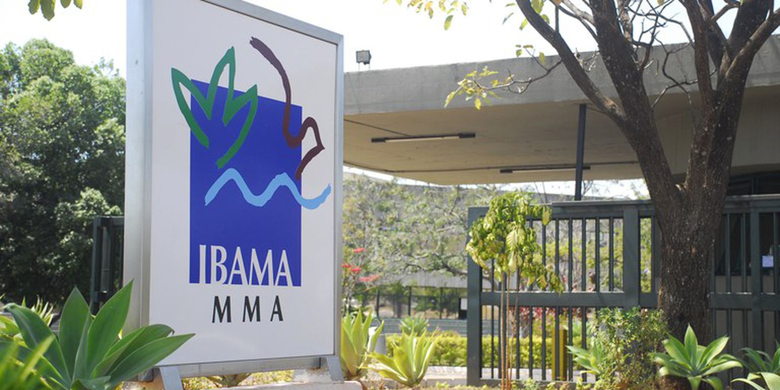 Government authorizes appointment of 460 approved in Ibama contest