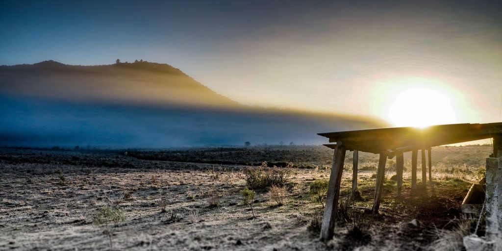 Government opens credit of R $ 12 billion for rural producers