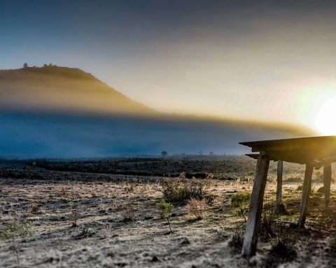 Government opens credit of R $ 12 billion for rural producers