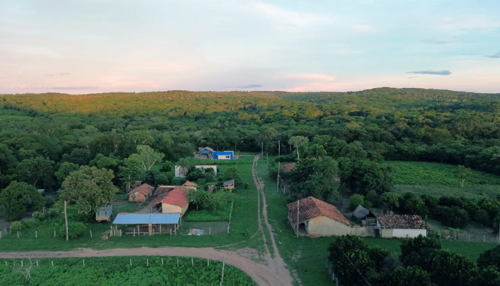 Green Carbon promotes Development and Conservation in Monte Verde and Lomerío
