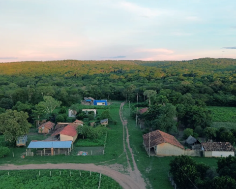 Green Carbon promotes Development and Conservation in Monte Verde and Lomerío