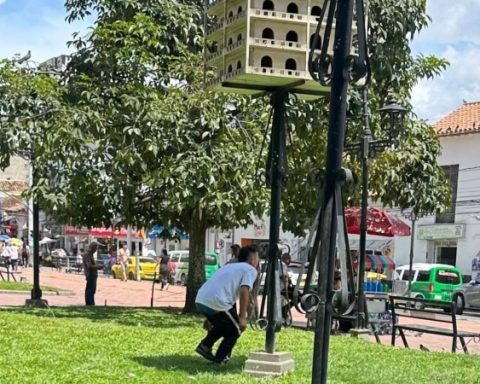 "He goes up to Las Palomeras": to the prisoned man pointed out of causing the cruel death of pigeons with his teeth