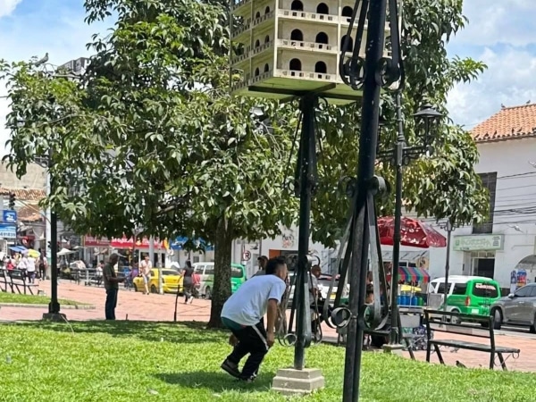 "He goes up to Las Palomeras": to the prisoned man pointed out of causing the cruel death of pigeons with his teeth
