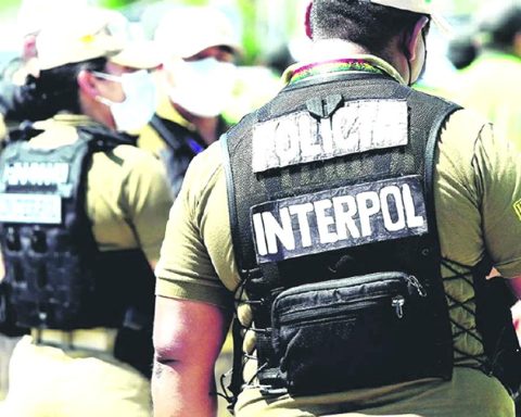 Head of the PCC obtained Bolivian identity and even driver's license with false roles