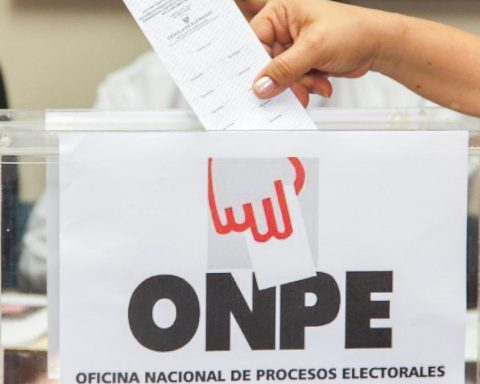 How many political organizations will participate in the 2026 general elections?