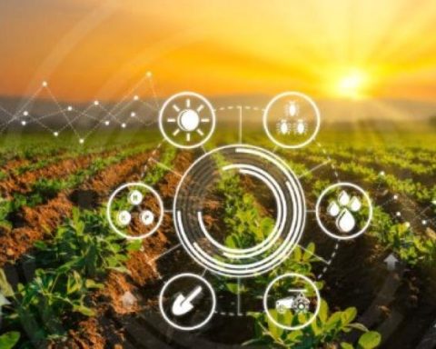 How to raise productivity and sustainability in agriculture?