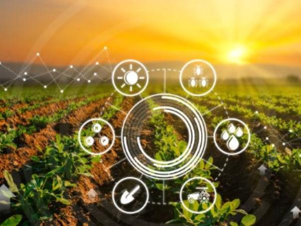 How to raise productivity and sustainability in agriculture?