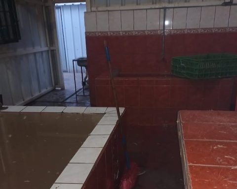 Huancayo: Fine to Bird Safeation Local in Chilca for serious hygiene faults