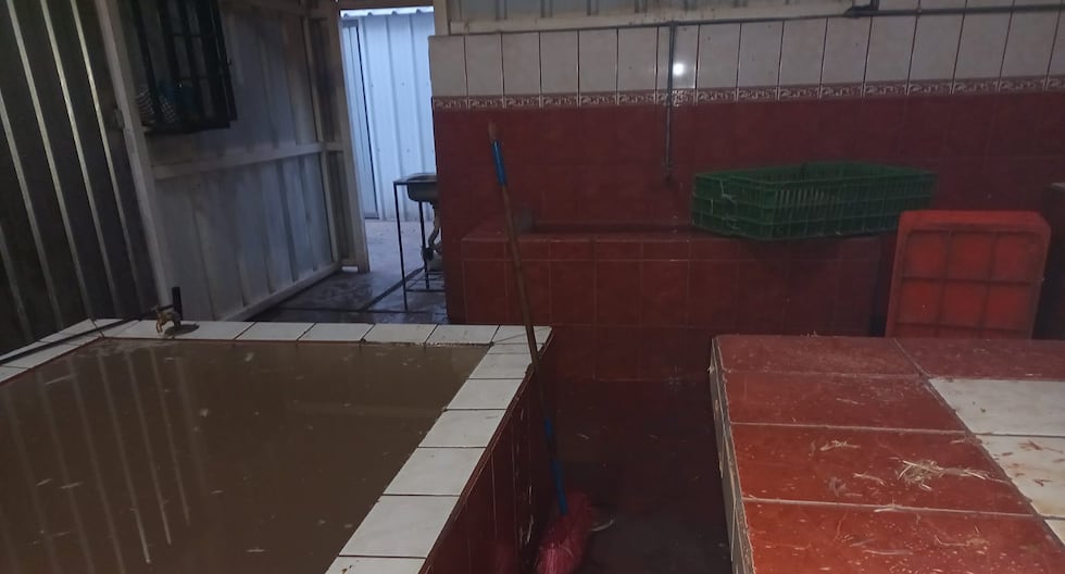 Huancayo: Fine to Bird Safeation Local in Chilca for serious hygiene faults