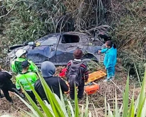 Huánuco: Teacher dies in disguise and vehicle overturning on Panao - Molino route