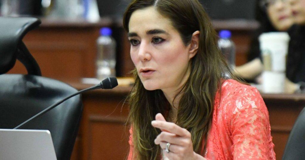 INE begins procedure against counselors for postponing revocation consultation